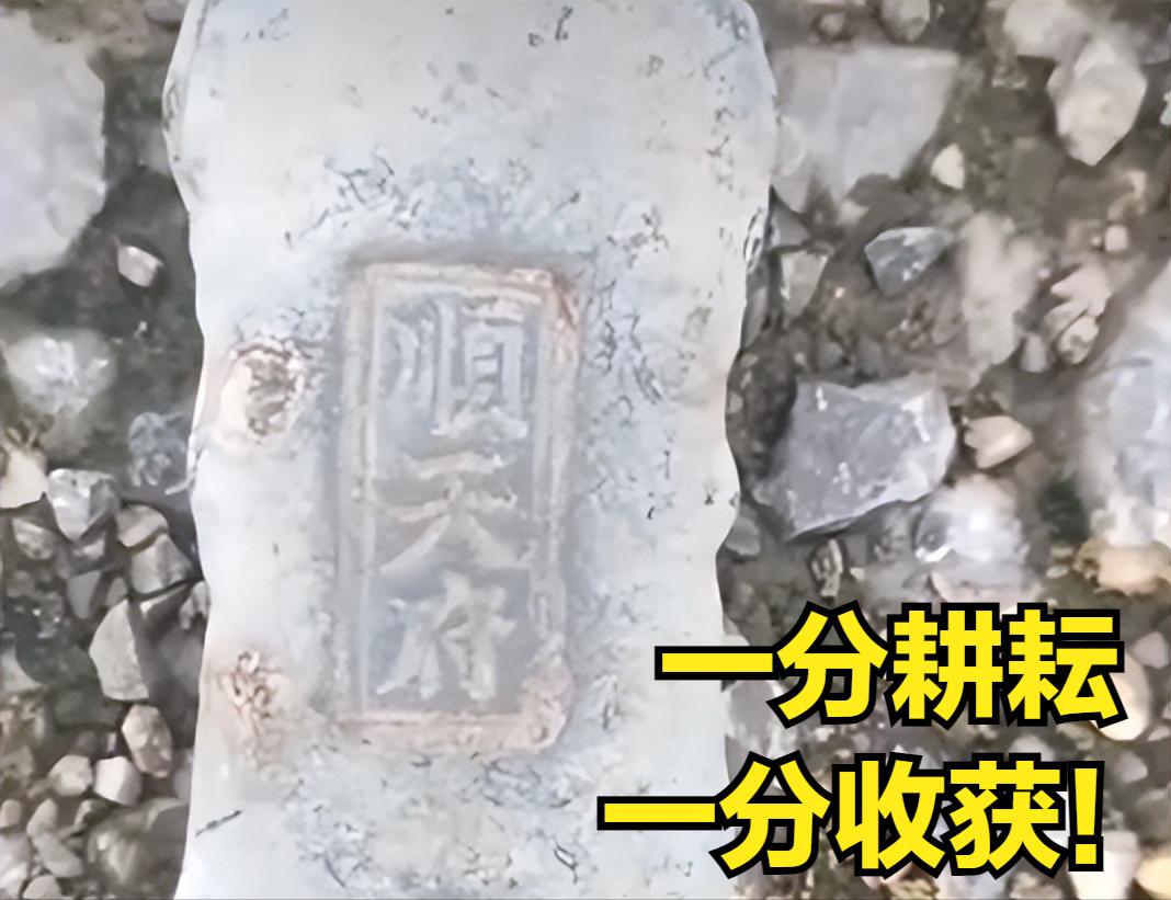 田里耕出银锭！？

   广西南宁有个大妈在自家地里翻土时遇到了一个“硬家伙”。