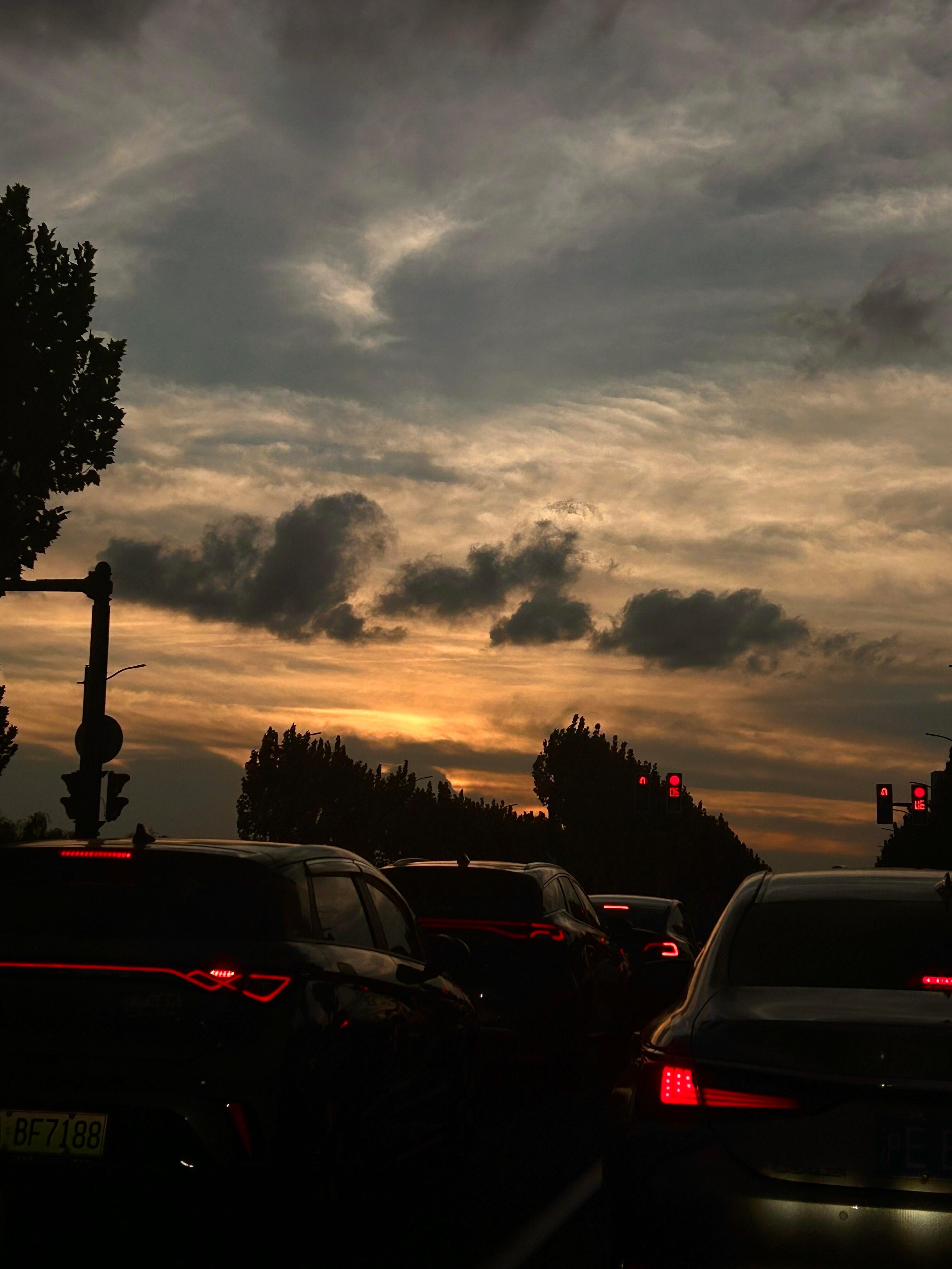 黄色是秋天的颜色“风里已经有了秋天的味道，我的意思是，这一年，又快过完了…回不去