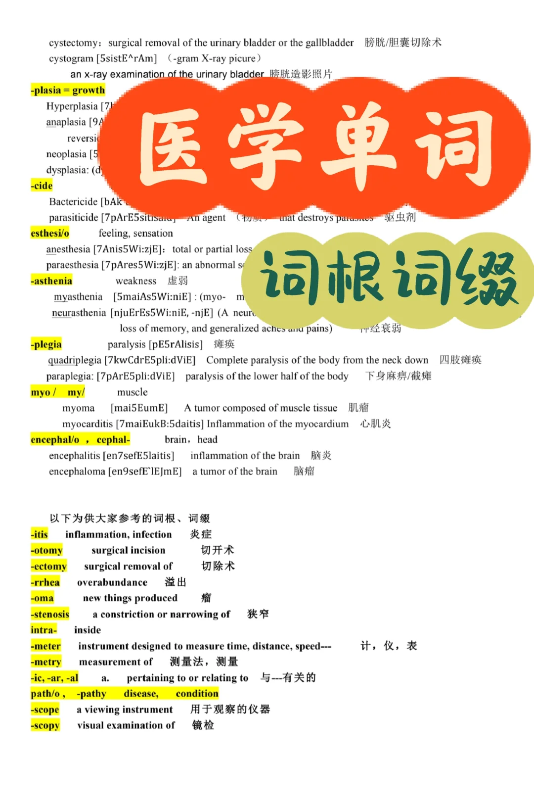 备考RN/医学词根词缀！！学！！单词