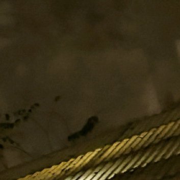 阳光信用 阳光信用每日一善 善行缘于善心，有着善的心灵，就如同一股清泉，永不枯竭