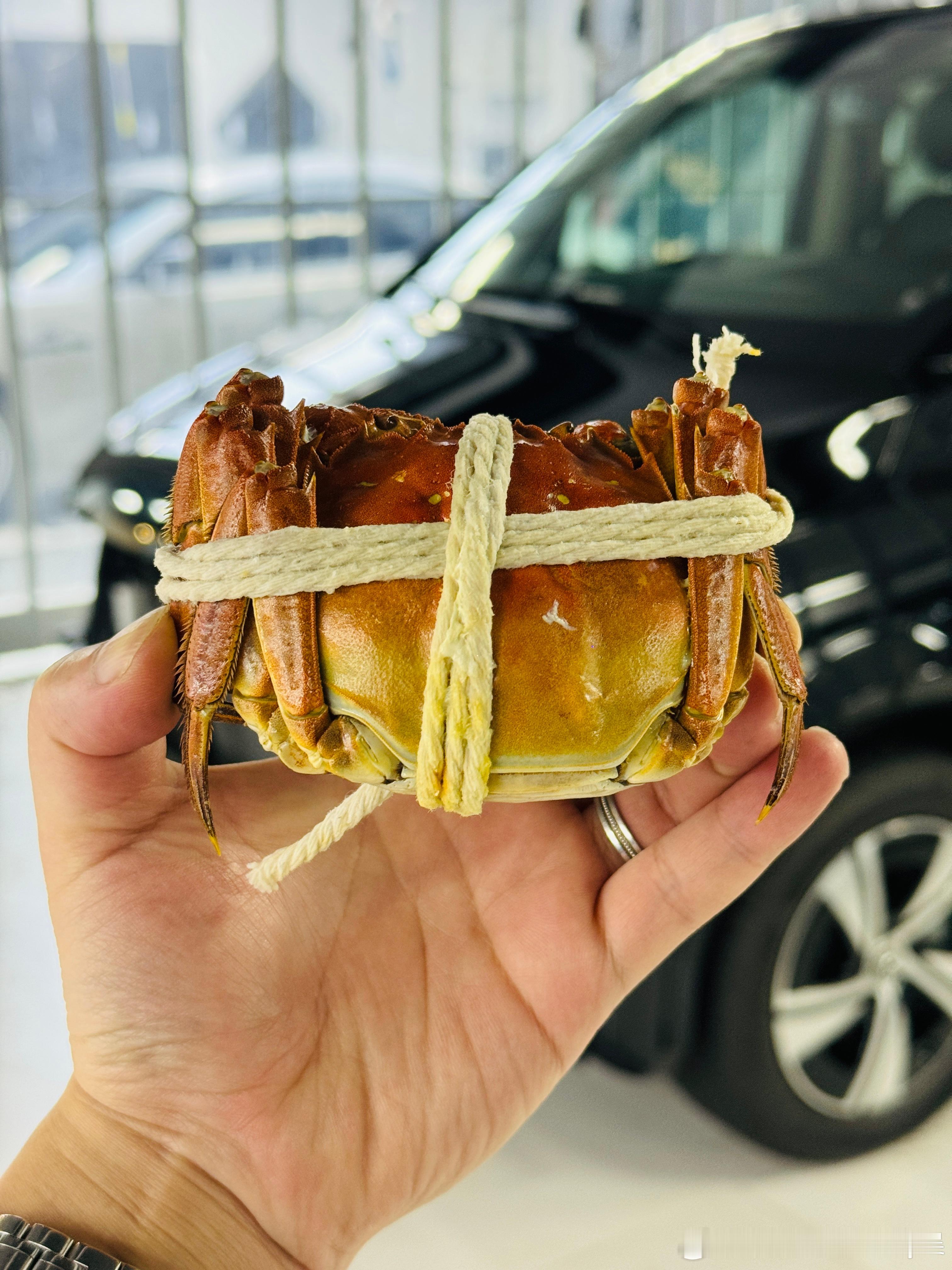 撸蟹🦀  ​​​