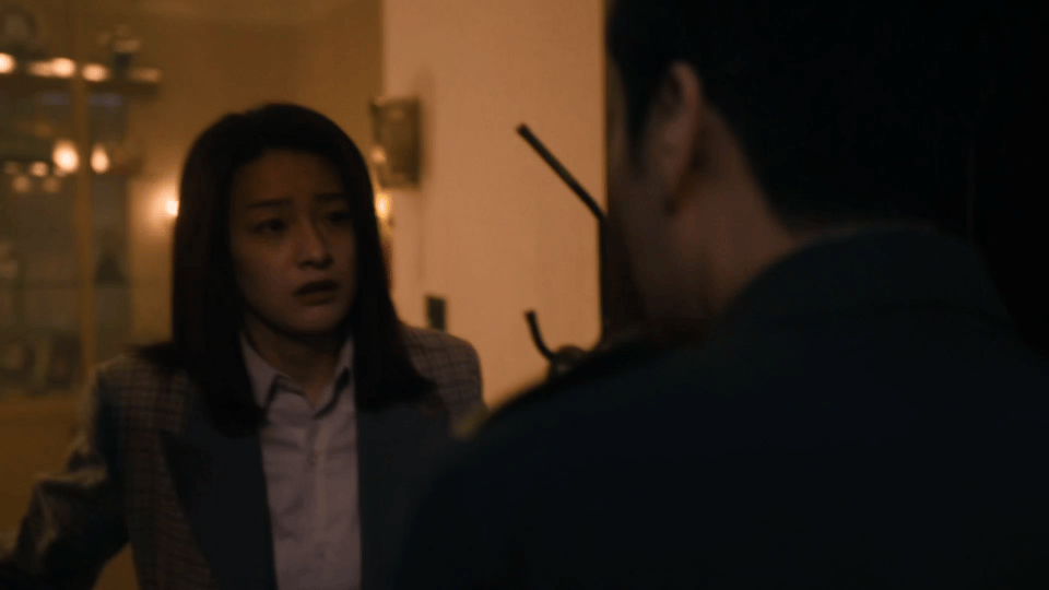 表面人夫背后毒夫《扫毒风暴》里卢少骅这反差也太大了。在妻子刘青面前，妥妥的人夫慈