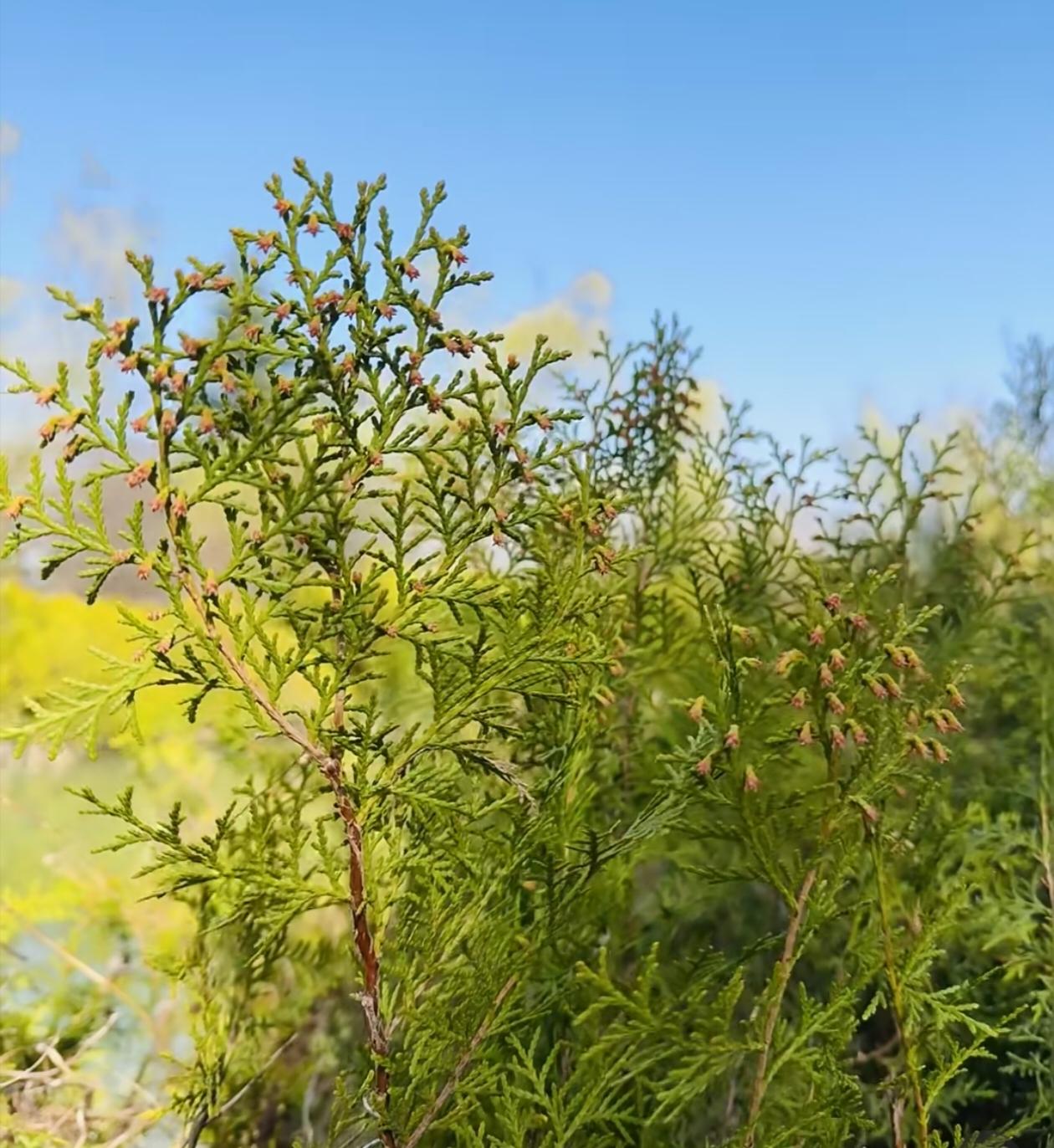 被家人冷落，我考上大学离开，从此不相往来，他们慌了

那些年我在家里像个透明人。