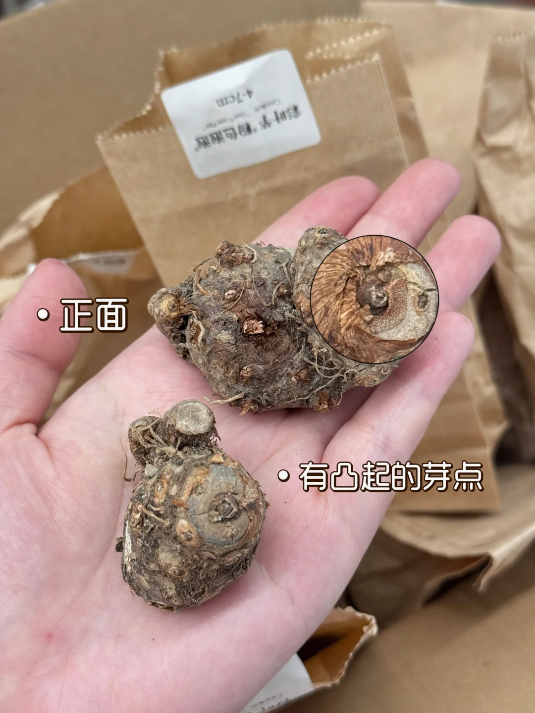 干货｜2张图告诉你如何分正反面