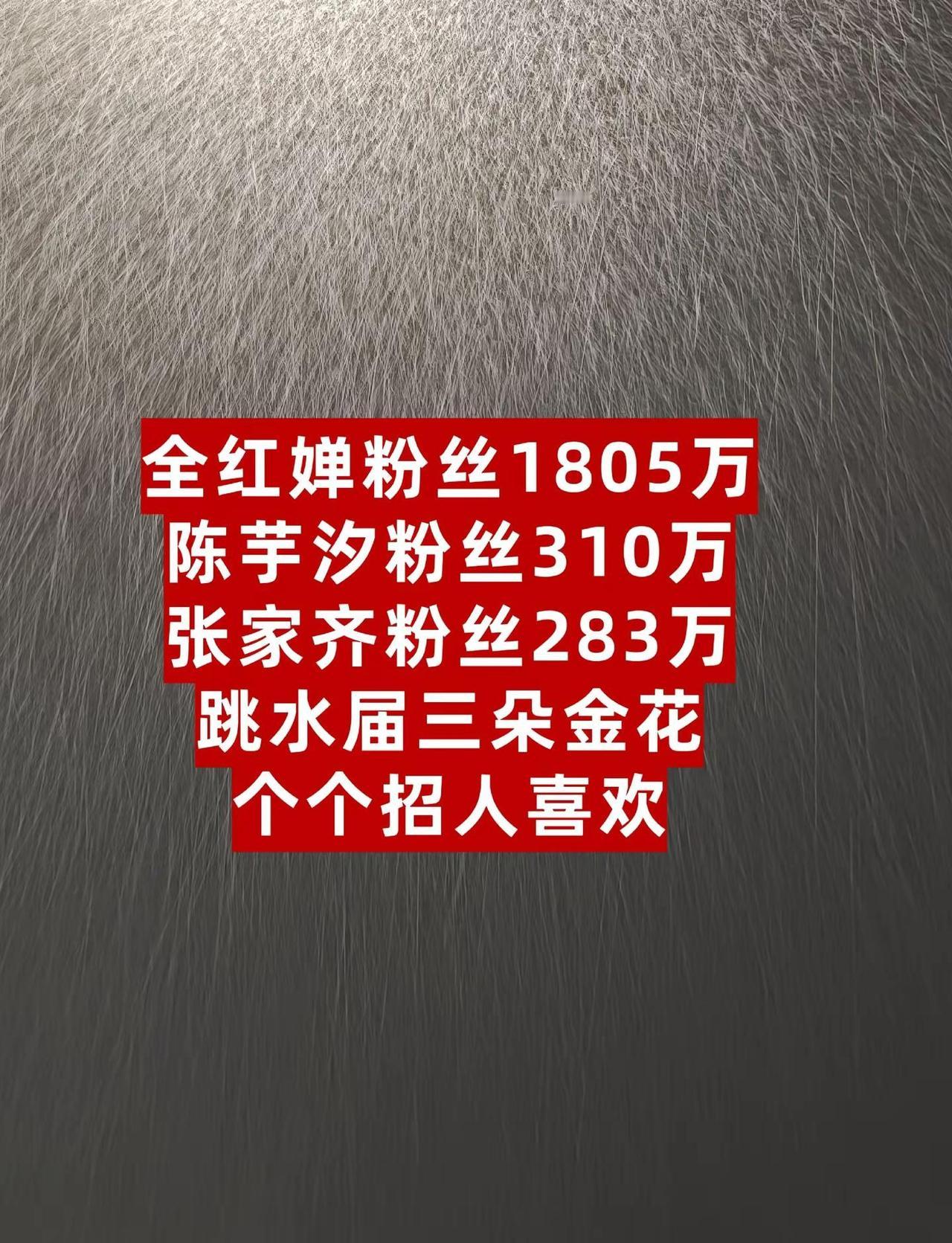 全红婵粉丝1805万陈芋汐粉丝310万张家齐粉丝283万跳水届三朵金花个个招人喜
