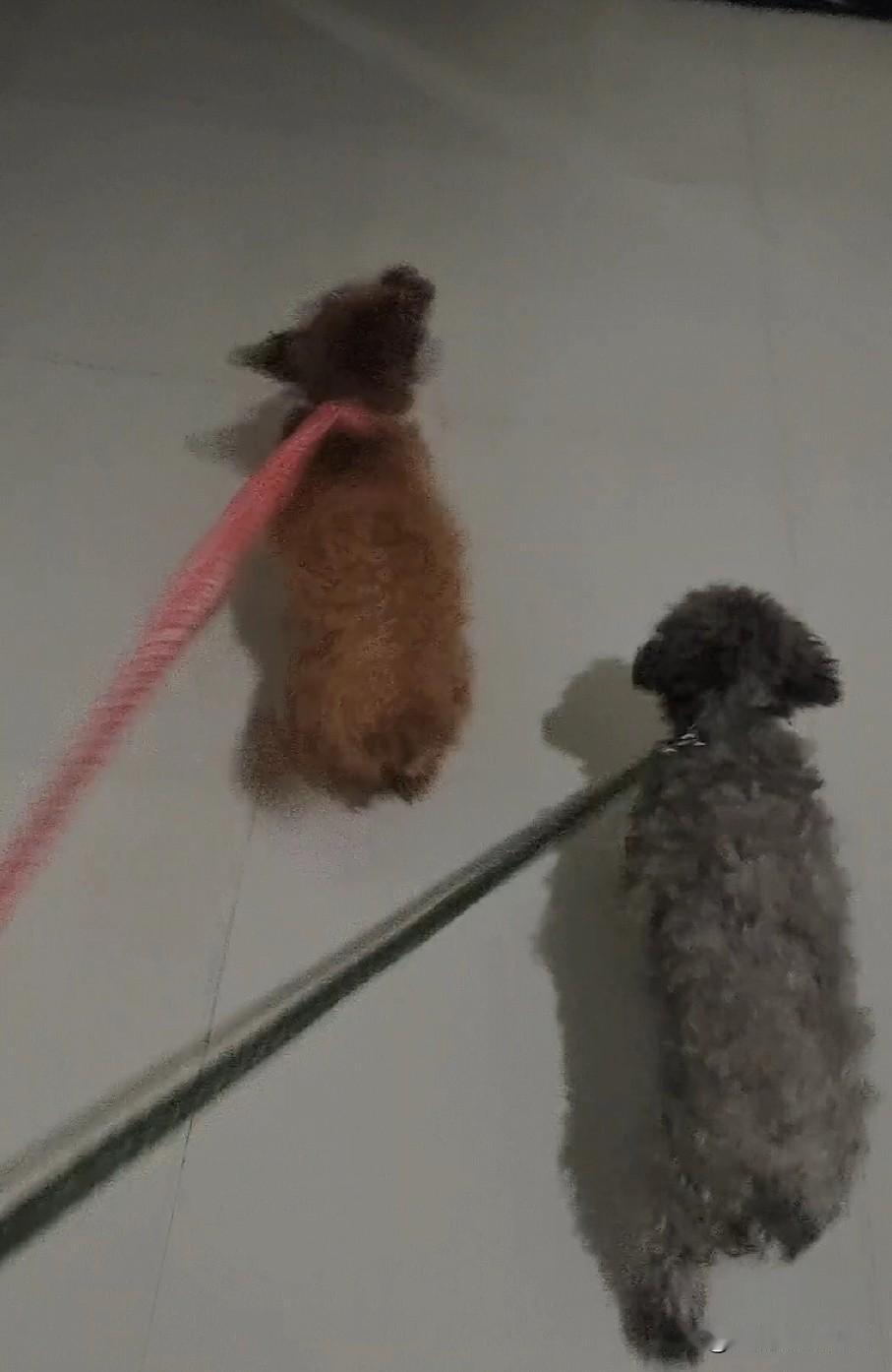 这事别人管不着，法律也没有约束的条款，虽然听着别扭，但也不能去无故去骂人，文明社