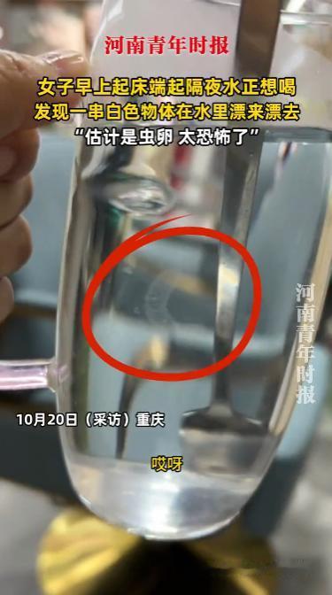 “防不胜防！”10月20日，重庆，一女子早晨起床后端起昨晚倒的水准备饮用，忽然发