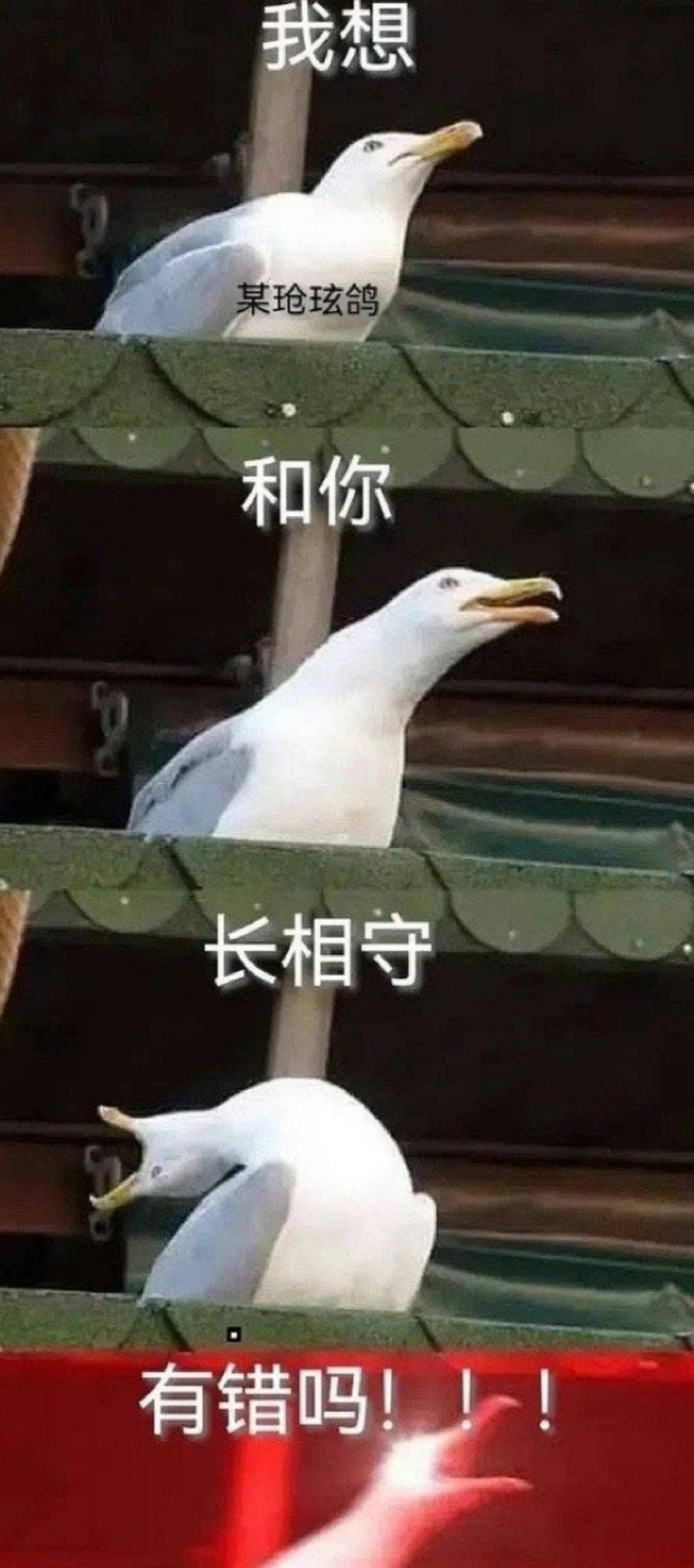 #长相思2开播#虐恋美学爱好者一定要积极食用本剧。因为现代剧我不太磕他爱她爱他爱