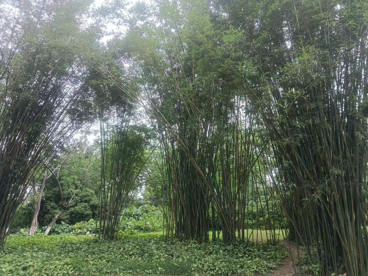 分享你随手拍的风景