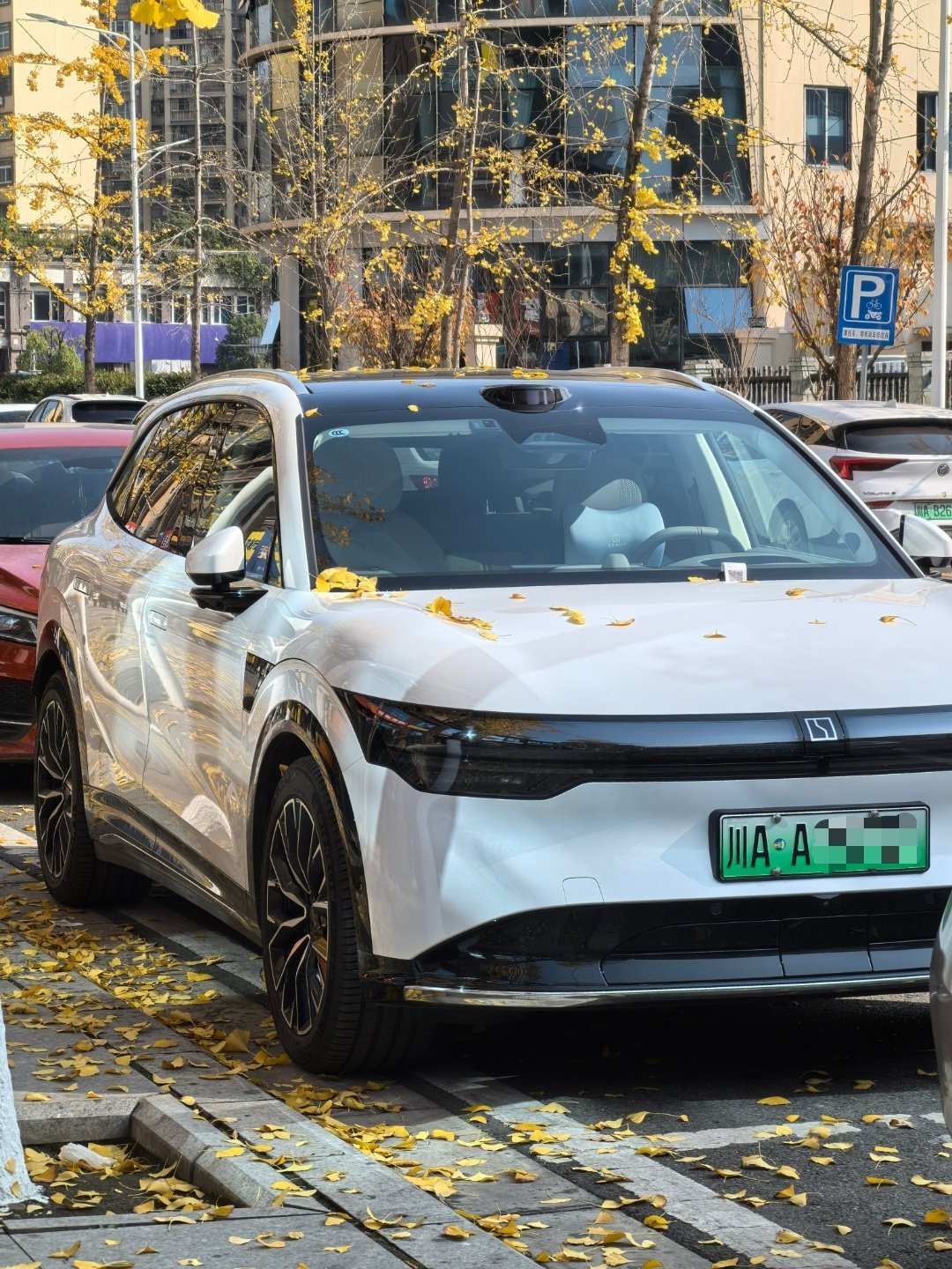 [春游家族] 极氪7x  提车3个多月跑了1万公里了 cam赛车频道  开的很多