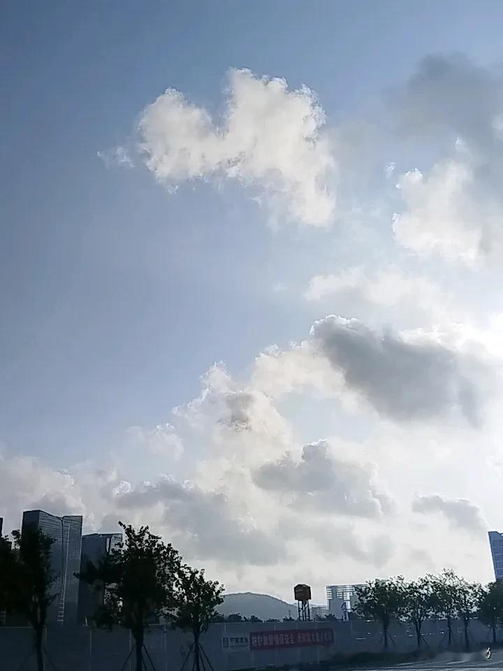 分享一张你近期随手拍的照片吧终于雨过天晴有一个阳光明媚的早晨了。