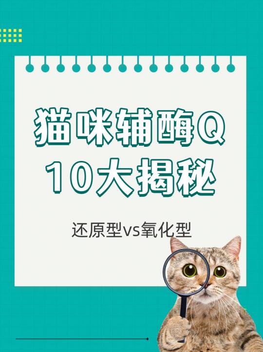 猫咪辅酶Q10还原型vs氧化型大揭秘