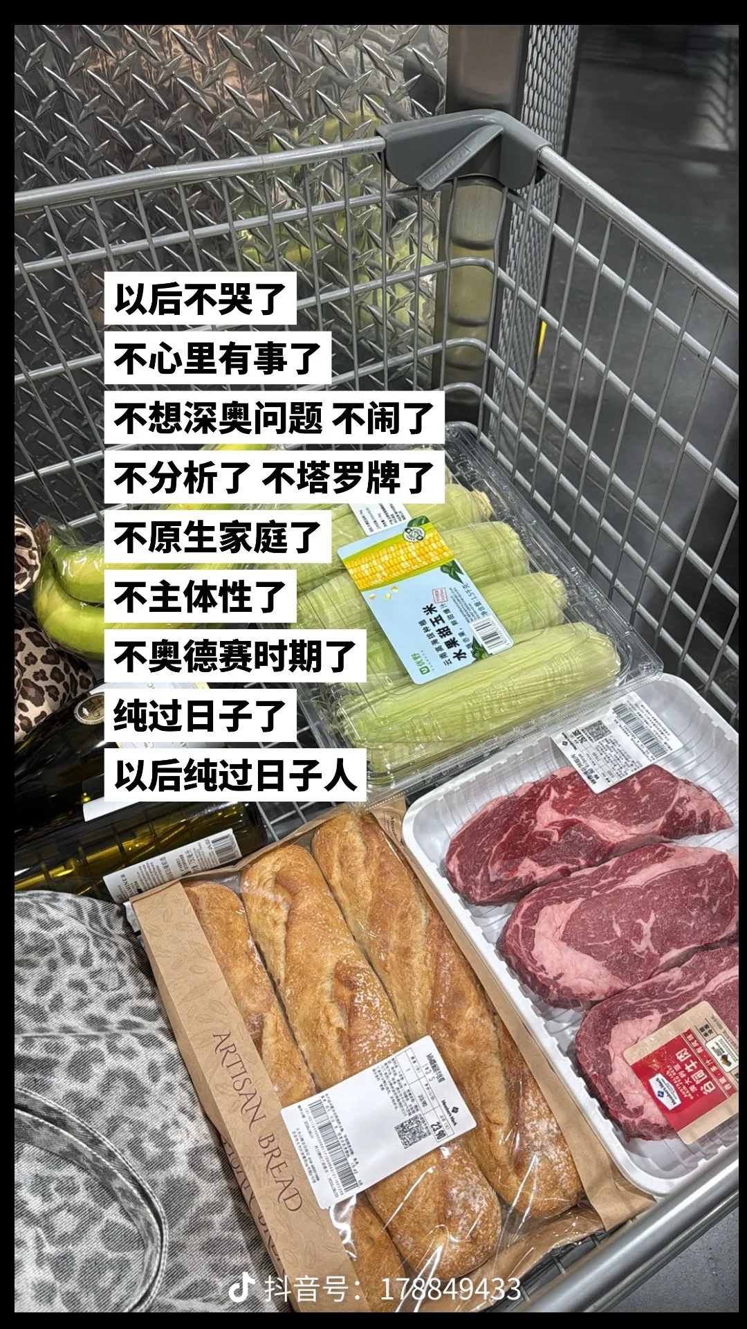 纯过日子！ 重庆·大石坝