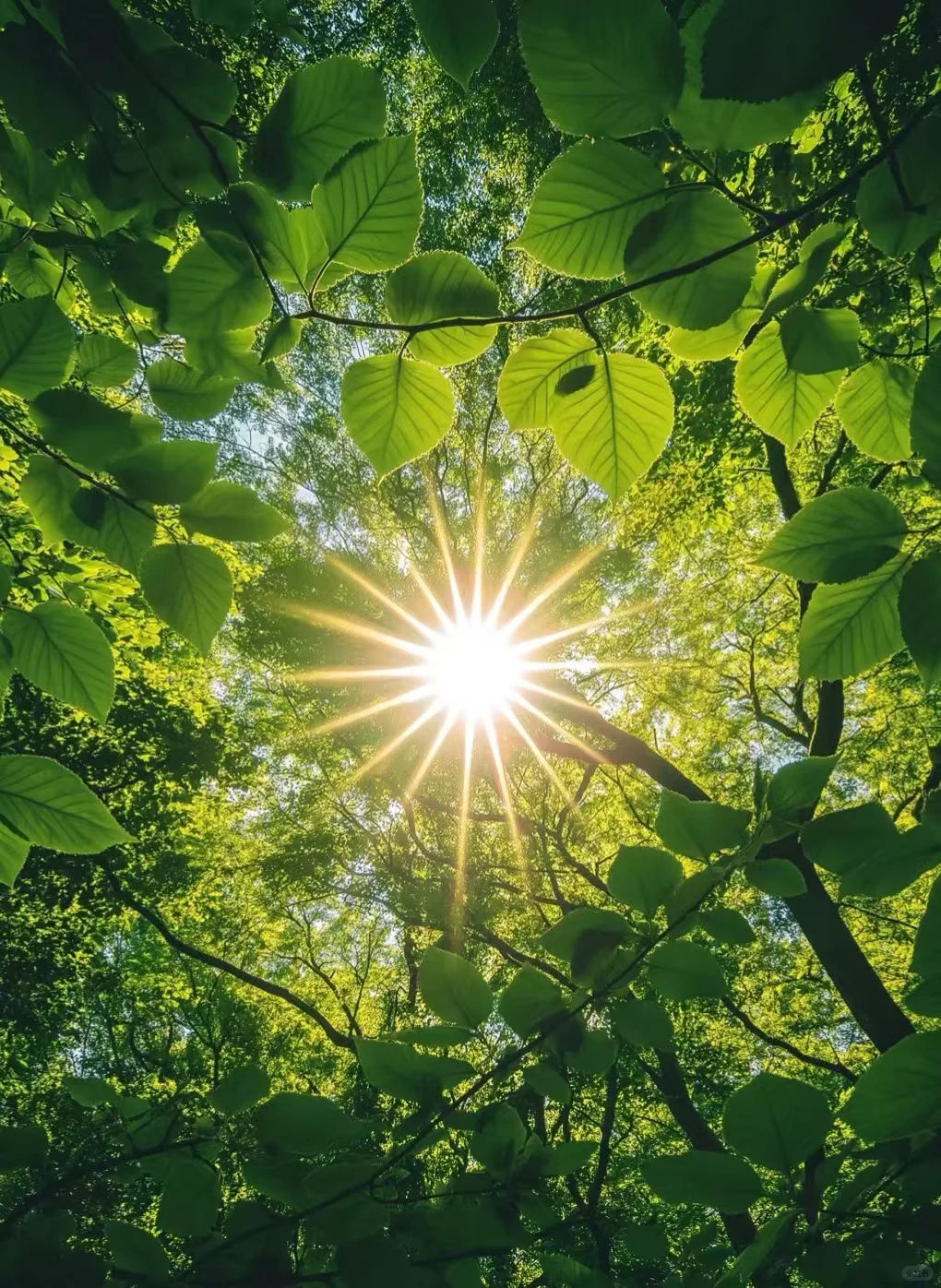 师父说，执古之道，以御今之有，时空穿梭，物是人非，大道周循，本性不移...