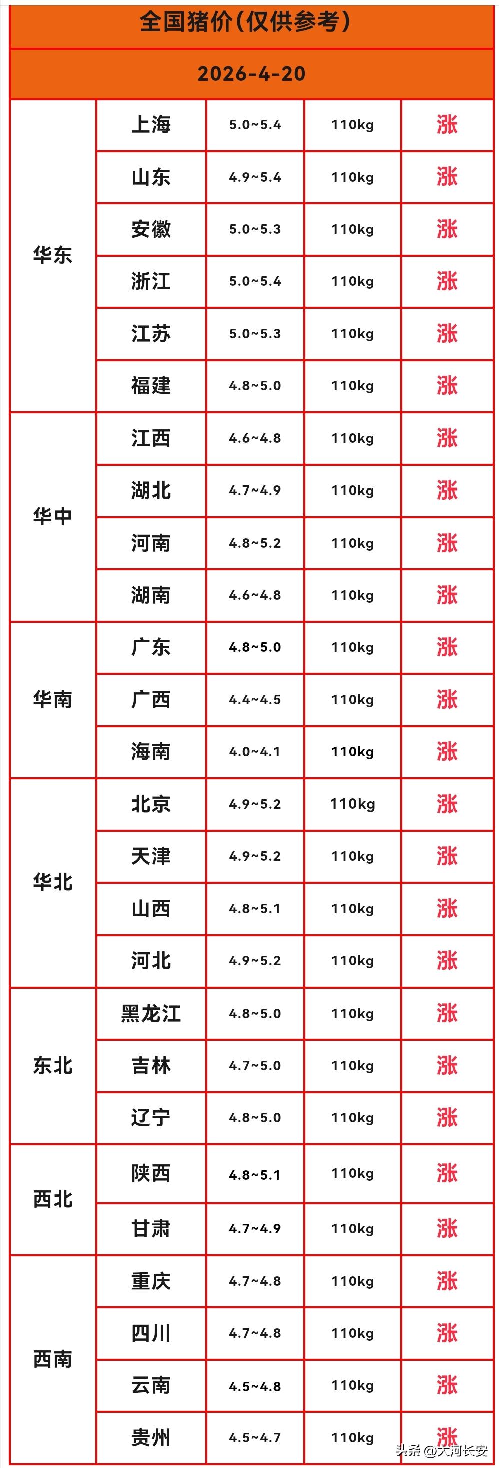 明天（4月20日）猪价继续大涨，全国各地猪价一片红，猪价连续“满堂红”式的上涨。