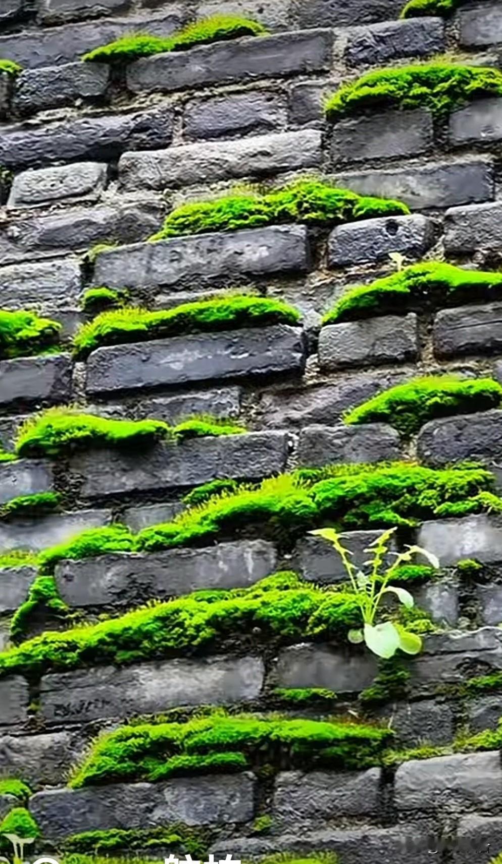 最新消息：

自2月17日起至12月31日，我国对加拿大、英国持普通护照人员实施