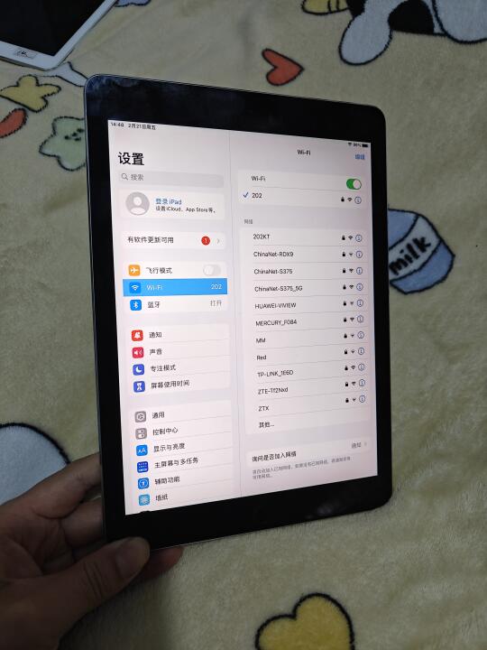 iPad Pro128G电池82价格380