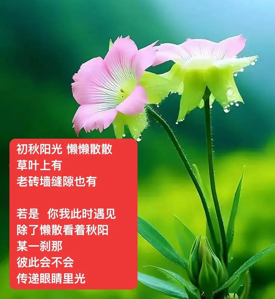 七夕了
若是  人间有爱
天上有星星
还奢望什么呢
．
捉只萤火虫
今夜提着它当