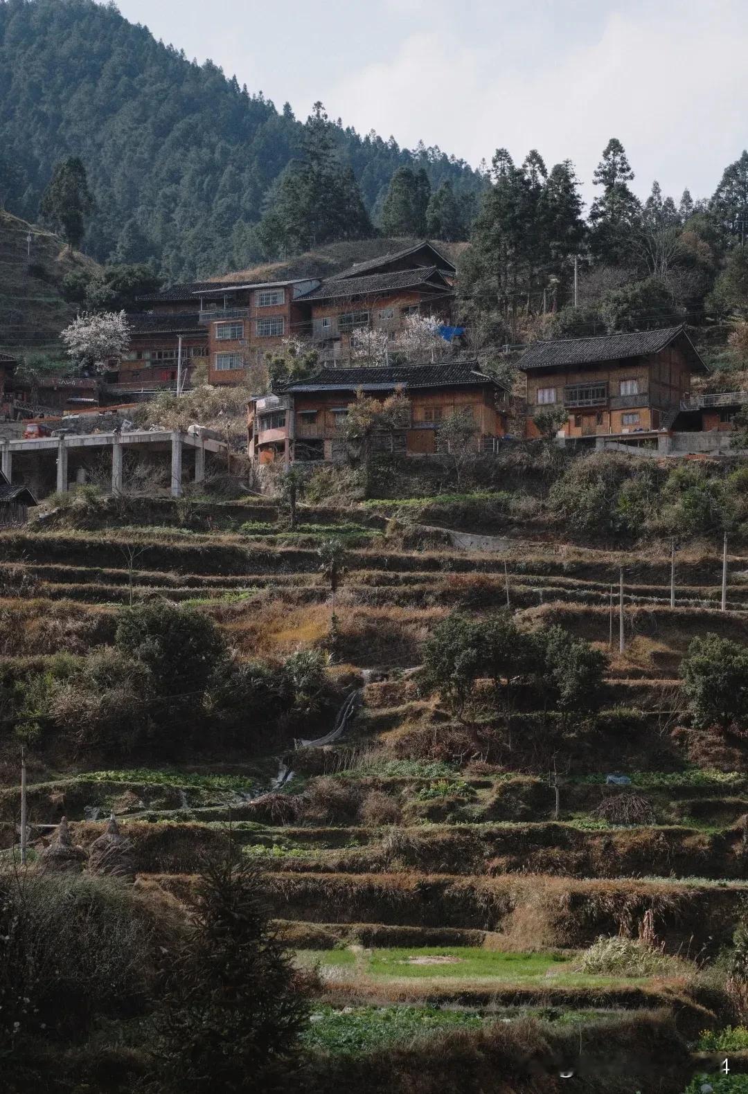 最近这几年，由于抖音的兴起，人人都在拍视抖音视频，外地在来我们贵州的媳妇，游客，