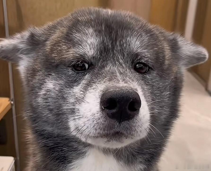 正是因为认真干过乙方，才能体会到很多生活服务业其实水准是真的不够，基本的“认真”