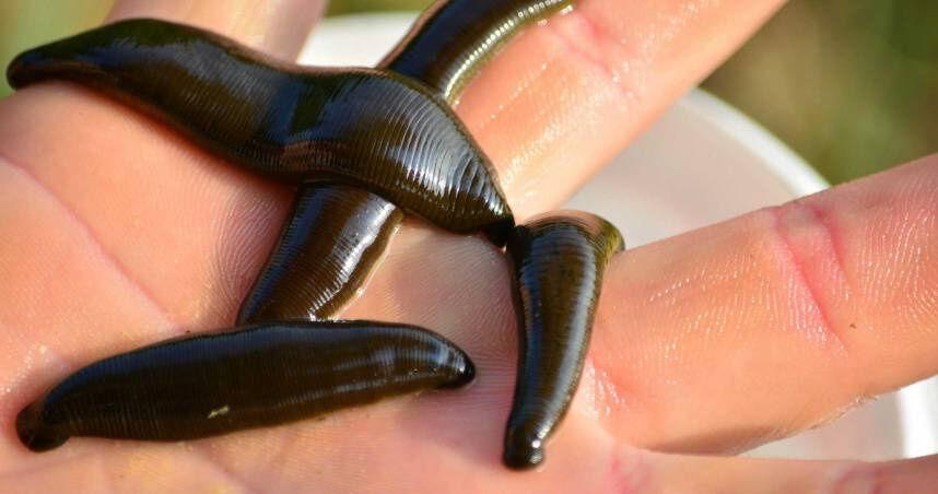 马来西亚这事儿太吓人了！2024年12月21日，在麻六甲州双溪南眉的农村创业活动