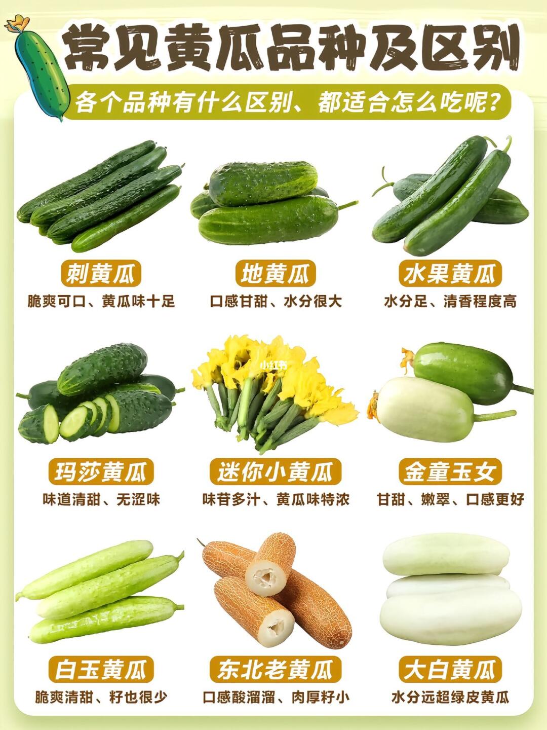 黄瓜品种大赏🥒 你爱吃哪种？