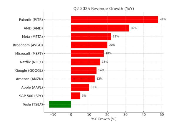 2025年第二季度营收同比增长率
帕兰提尔（Palantir）：+48%
超威半