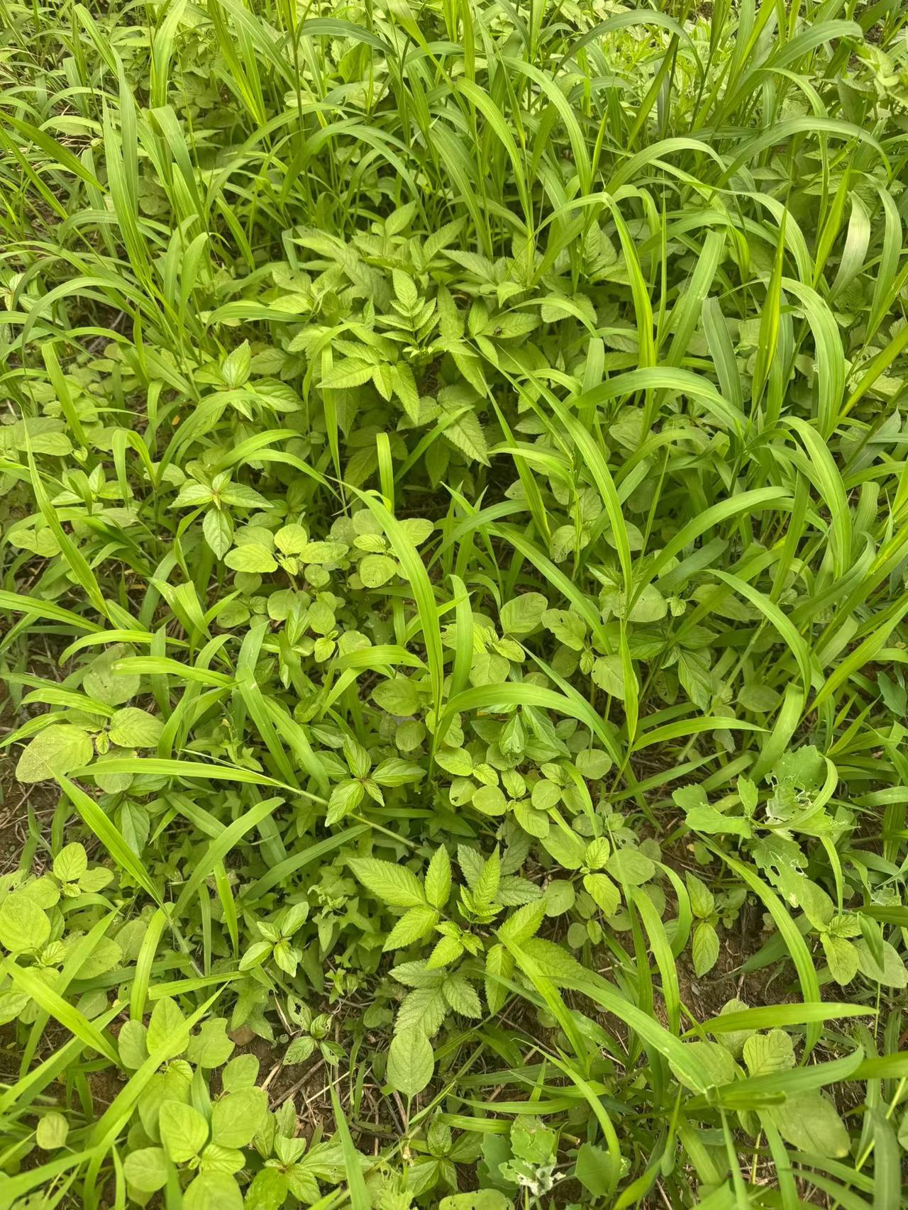 分享一下你随手拍下的照片