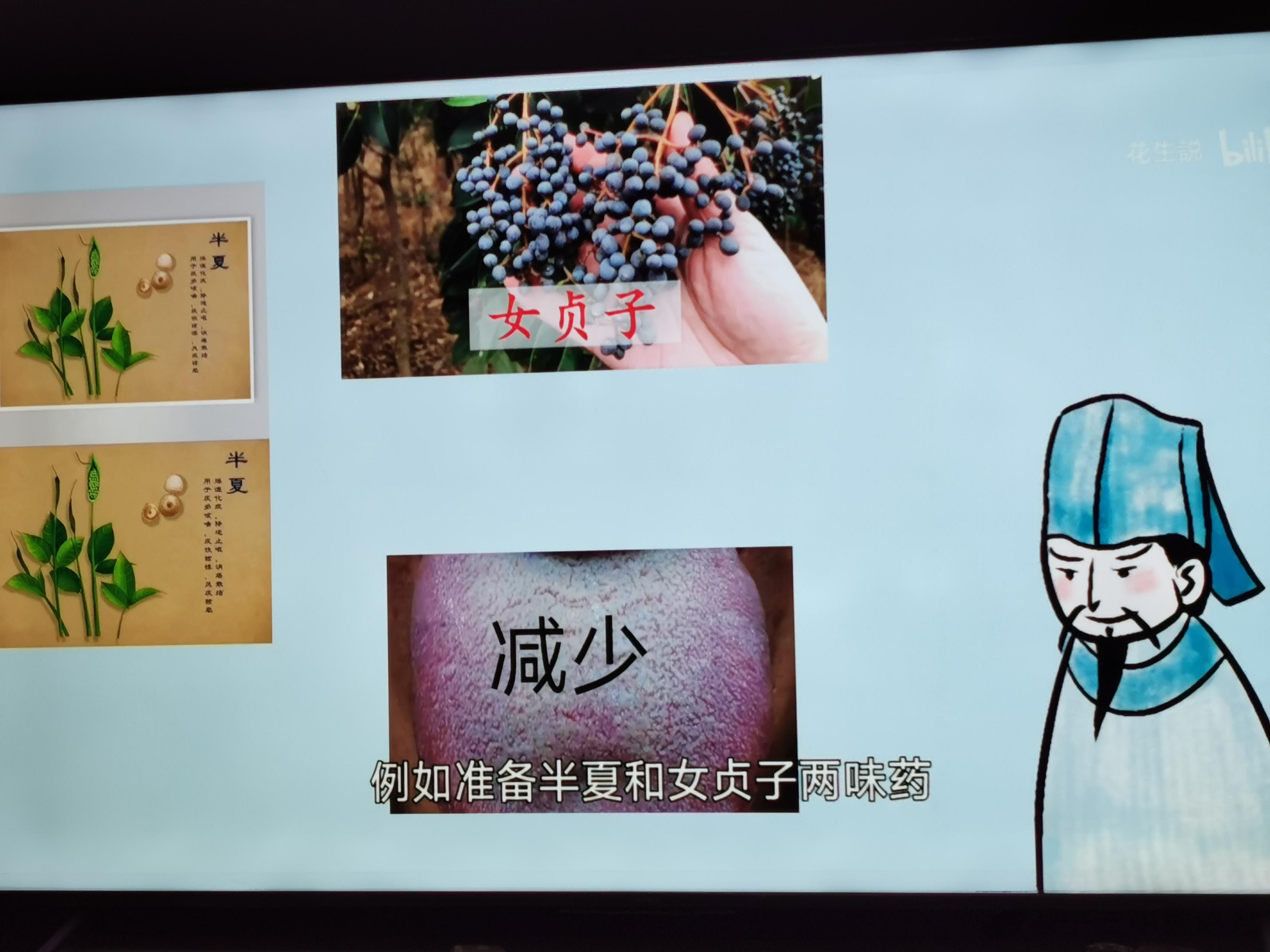 喻嘉言如何治疗咳嗽痰多且吐血的患者？准备半夏和女贞子两味药，舌苔白腻时吃半夏，舌