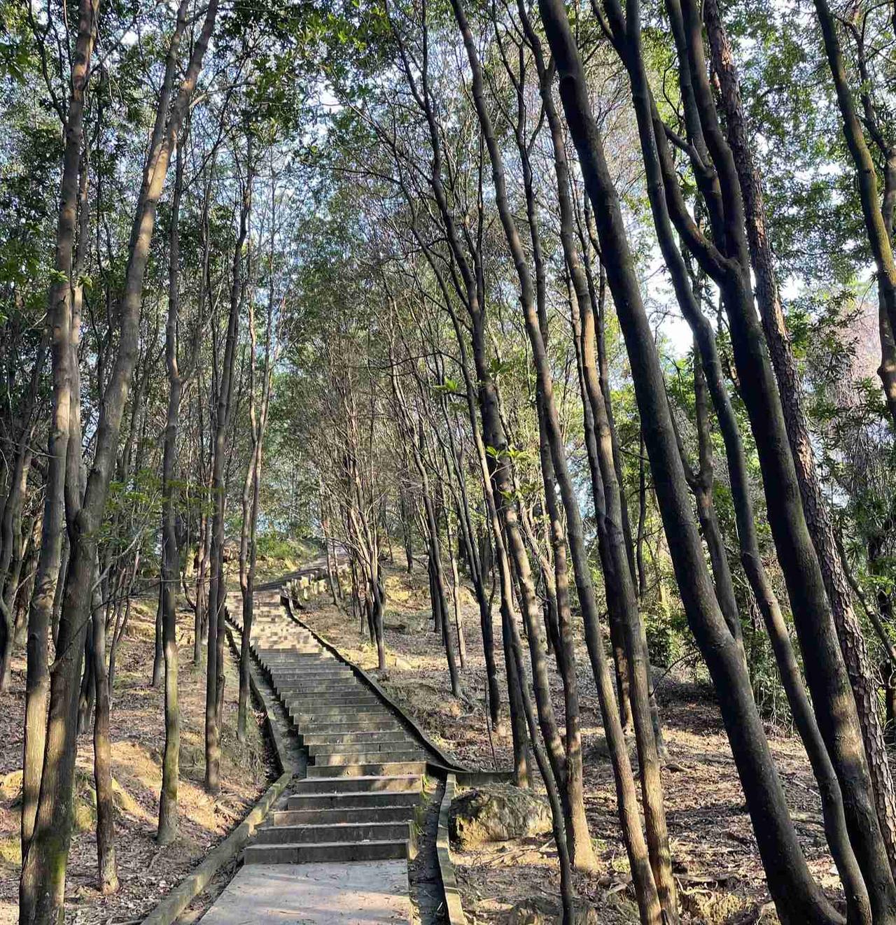 我的今日状态：😁轻松愉快
我这里的天气：☀️晴天
周末逃离城市钢筋水泥，一头扎