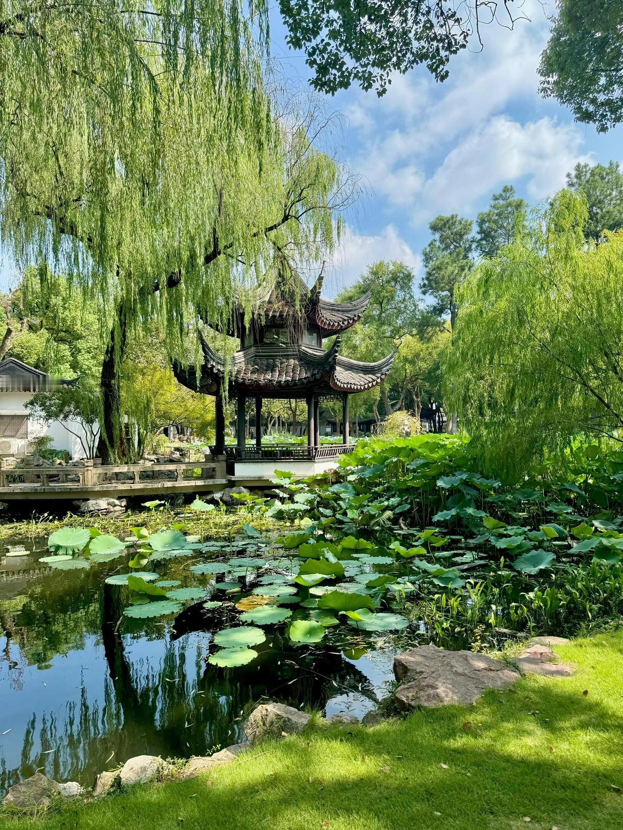 晒图笔记大赛西湖美景值得感叹