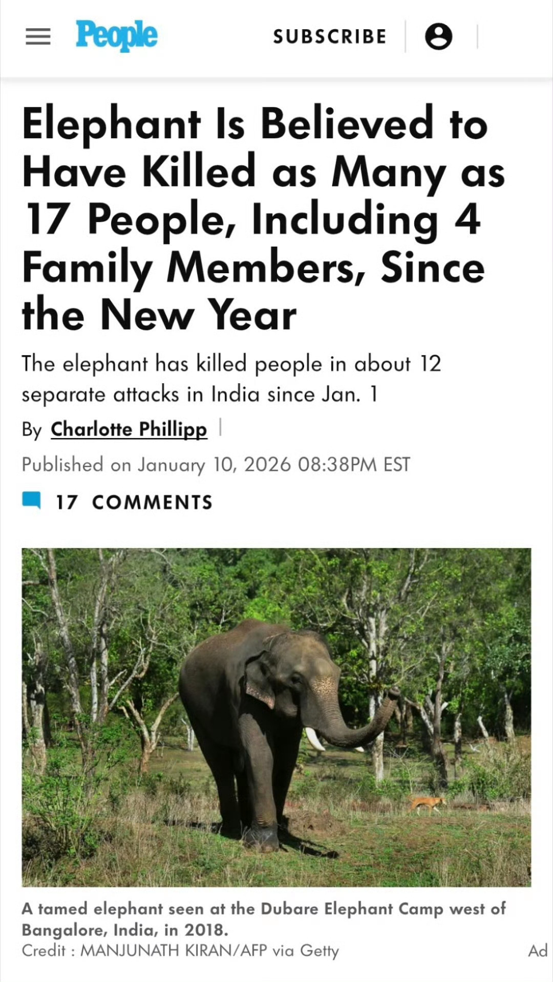 泰一公象相亲时遭主人催促怒踩主人¹ 发情期的公象太恐怖。年前印度发情中的暴走公象