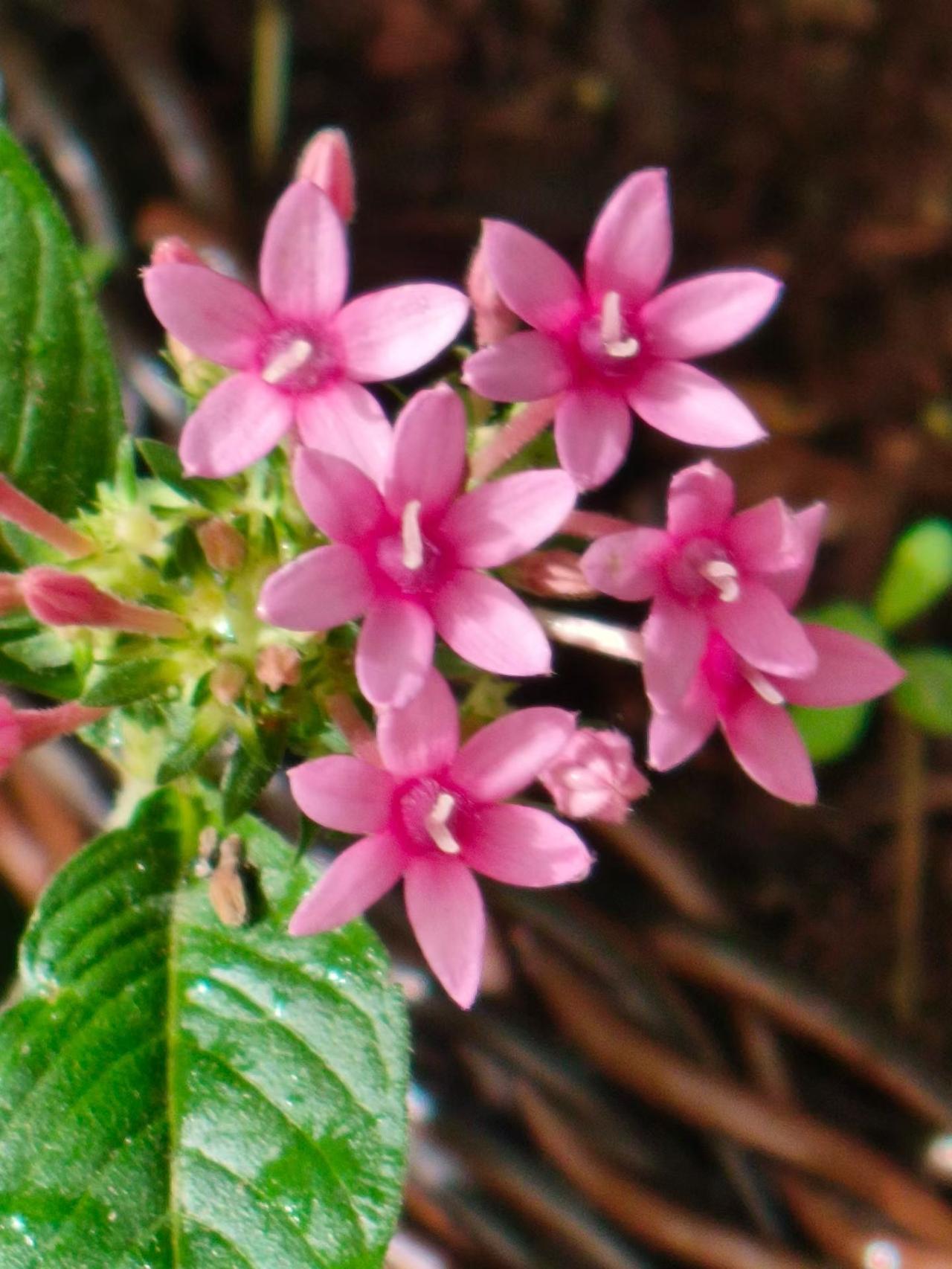 【04.08修身心语】
您好！
尽量不要跟身边任何人分享这4件事：
家庭矛盾，外