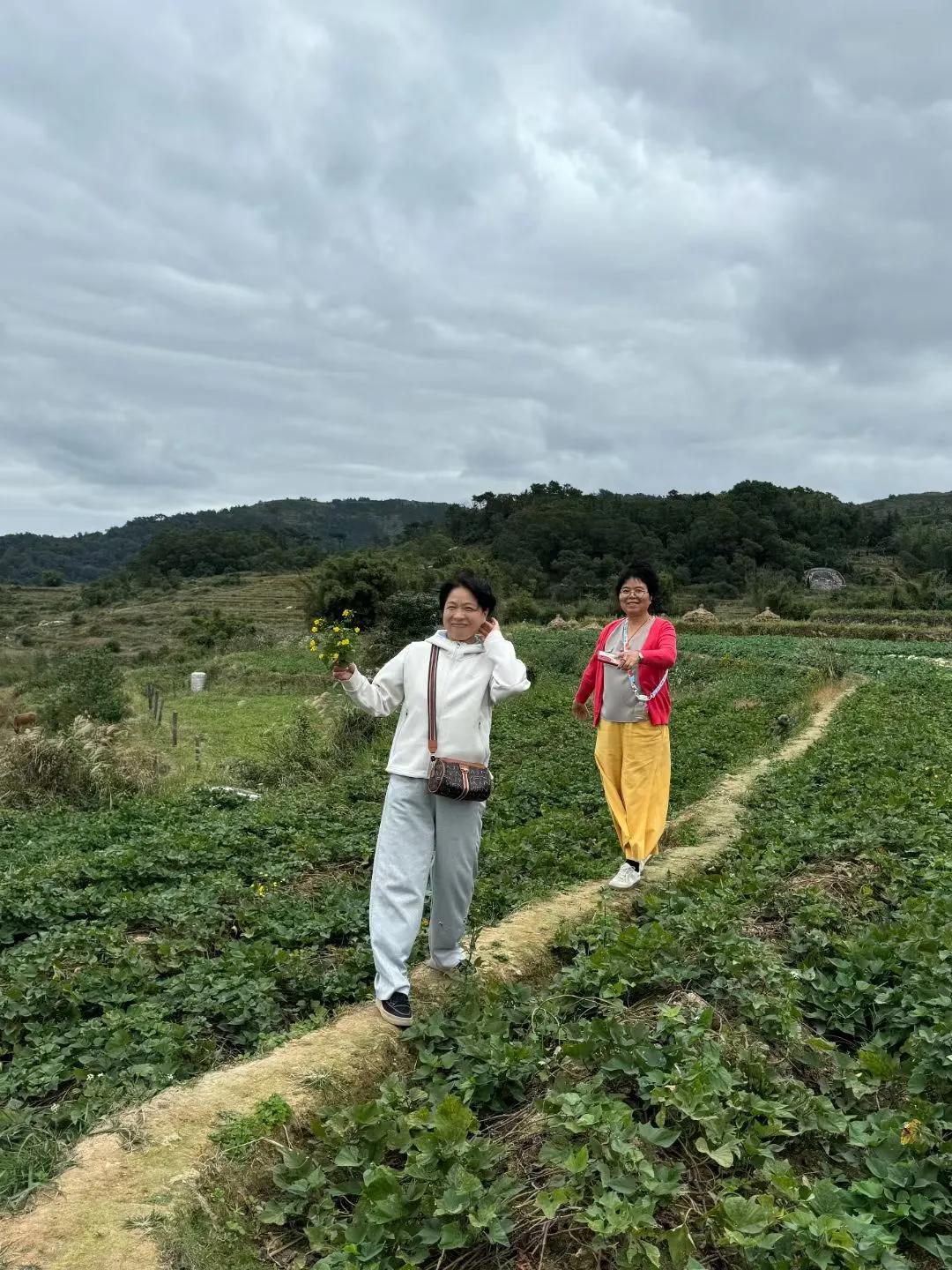 走在田园的小径上，呼吸着带着泥土和青草芬芳的空气，心也变得澄澈。
  记录我的2