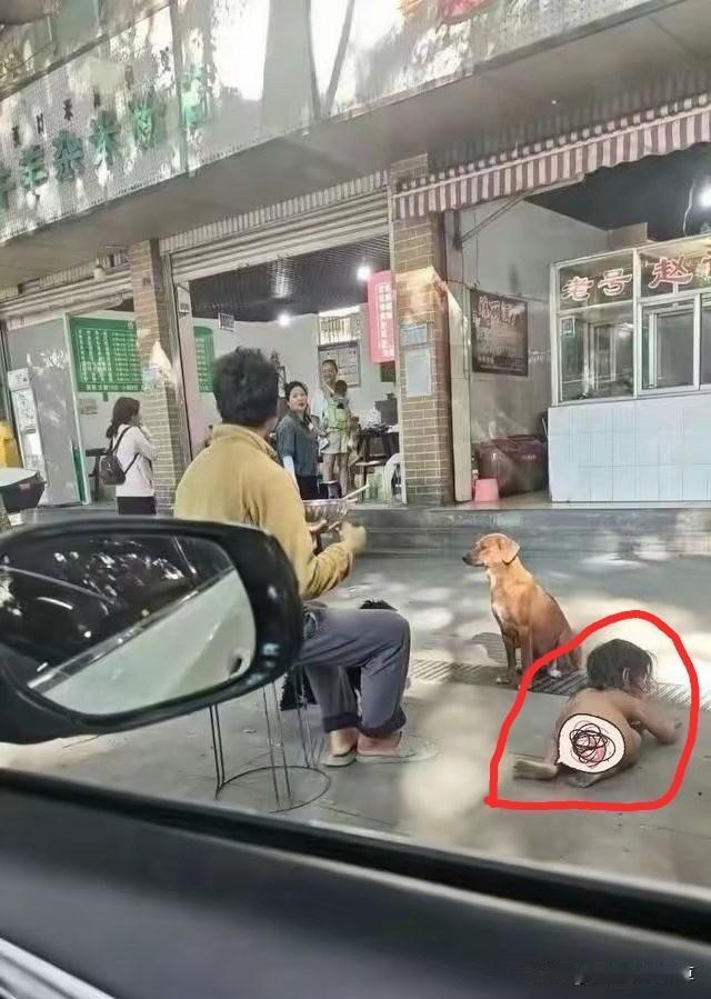 见过离谱的，没见过这么离谱的！高学历爹妈带娃开房车，居然让娃光屁股跟狗抢食！劝了