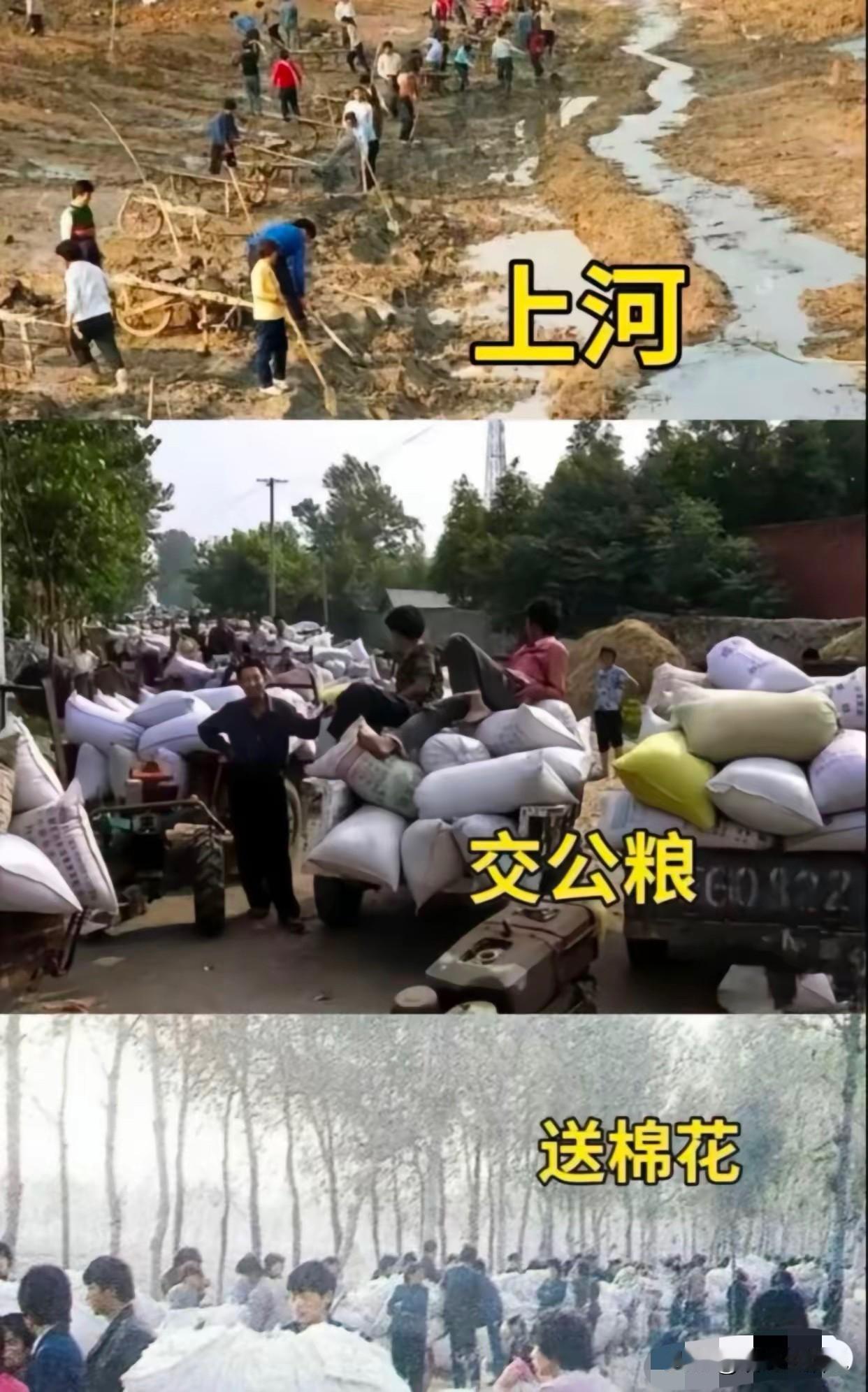 80后的我，前两样都经历过，最后一个没听说过。