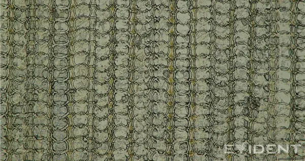 蘋(píng)果又一突破：iPhone Air USB-C接口采用3D打印技術(shù)