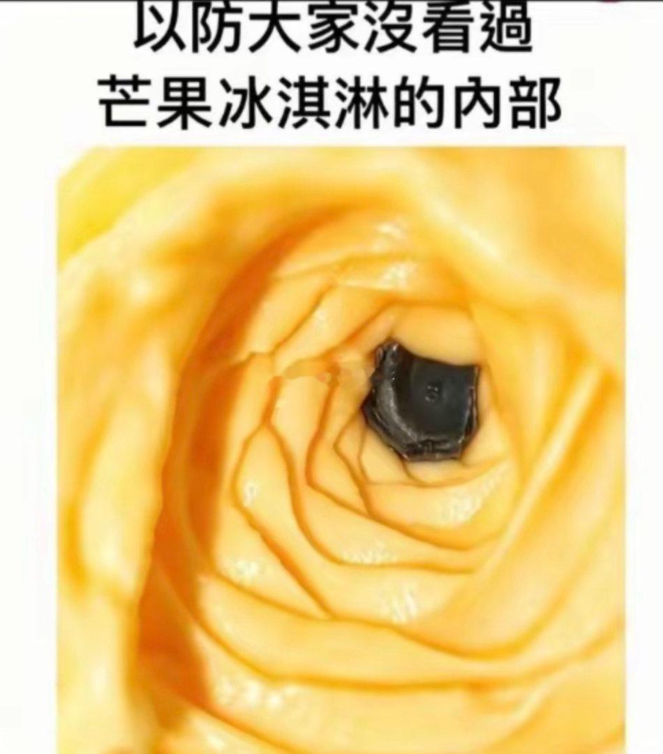 怕你不知道芒果冰淇淋内部长这样 
