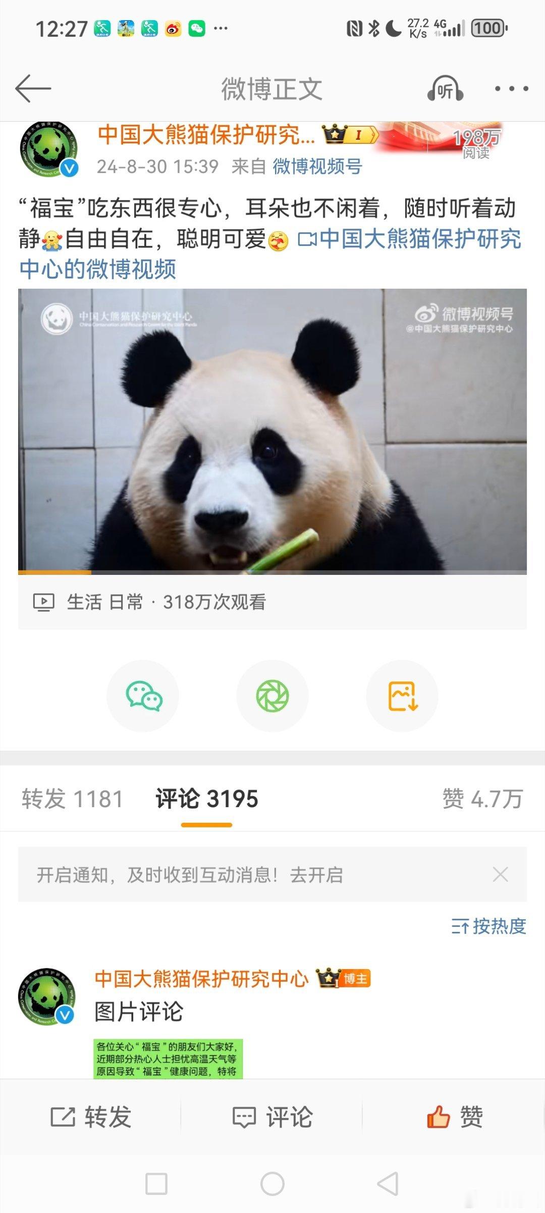 #福宝已进入假孕状态#  8月30日下午，发博晒出视频称:“'福宝'🐼吃东西很