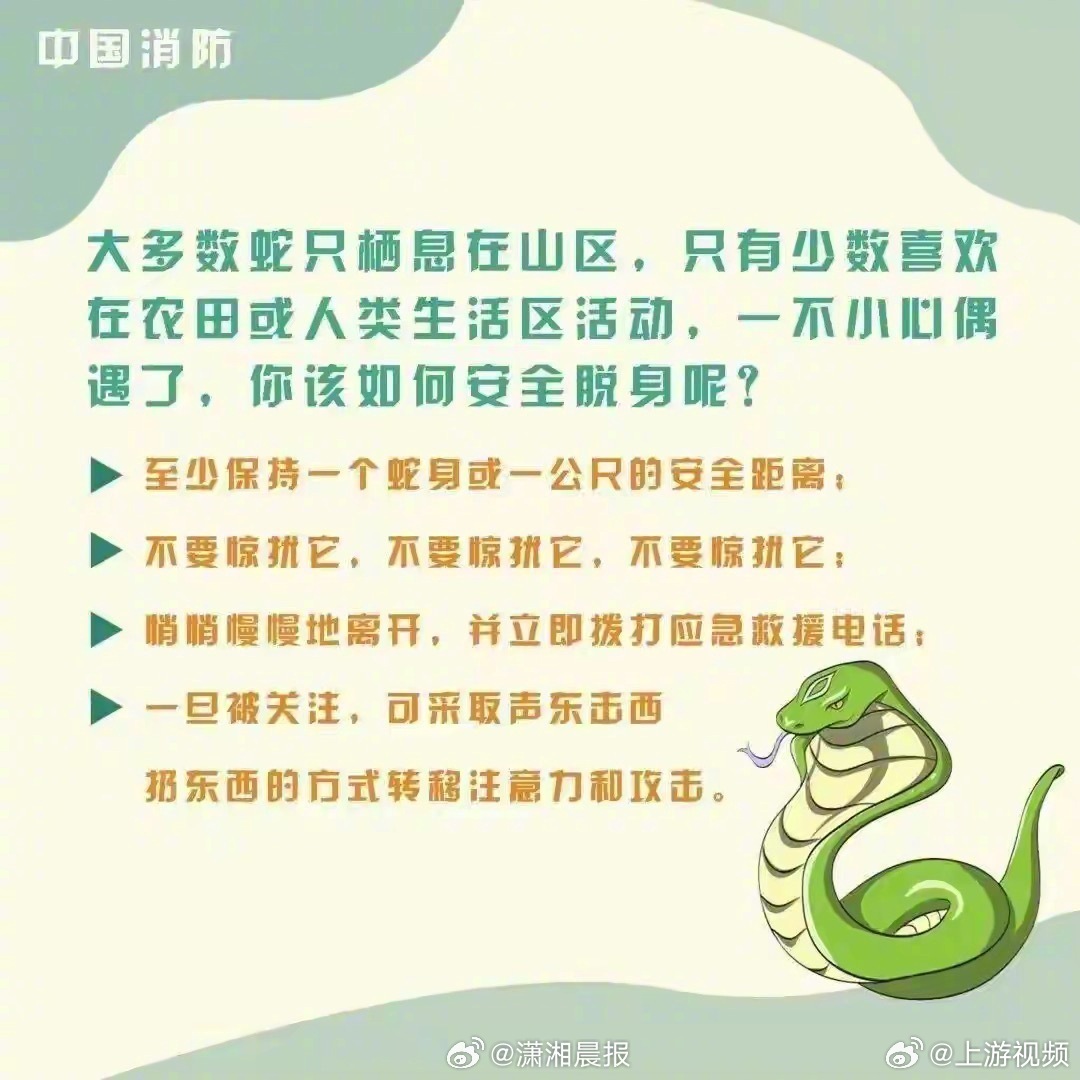 #专家称眼镜王蛇咬人致死率50%#【#夫妻上班途中突遇2米长眼镜王蛇#】近日，厦