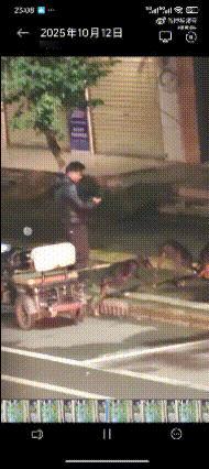太坏了！河南漯河，一中年男子放任其饲养的三只烈性犬撕咬一只流浪狗，全程未阻拦，反