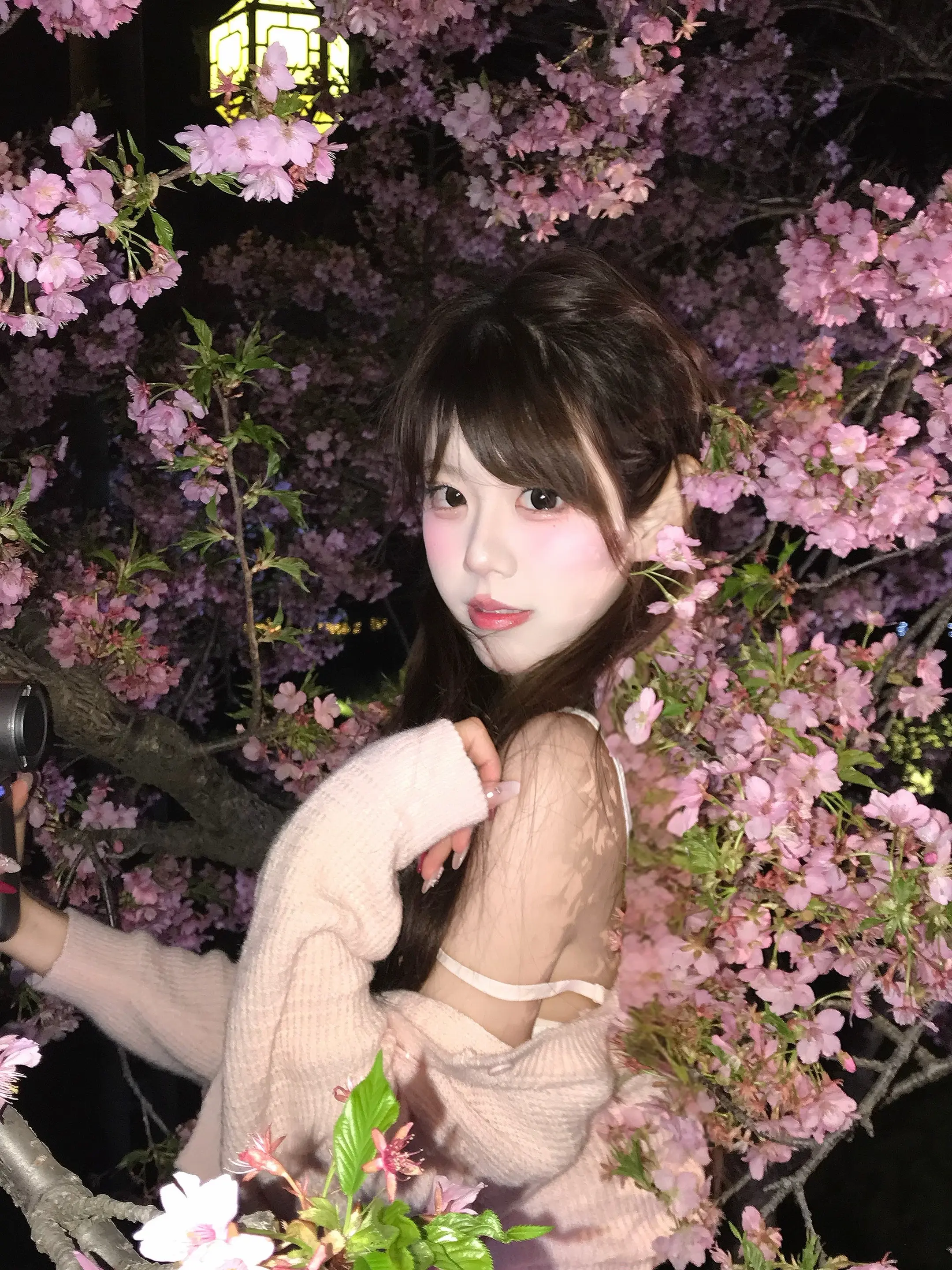 春有约 花不误🌸 📹
