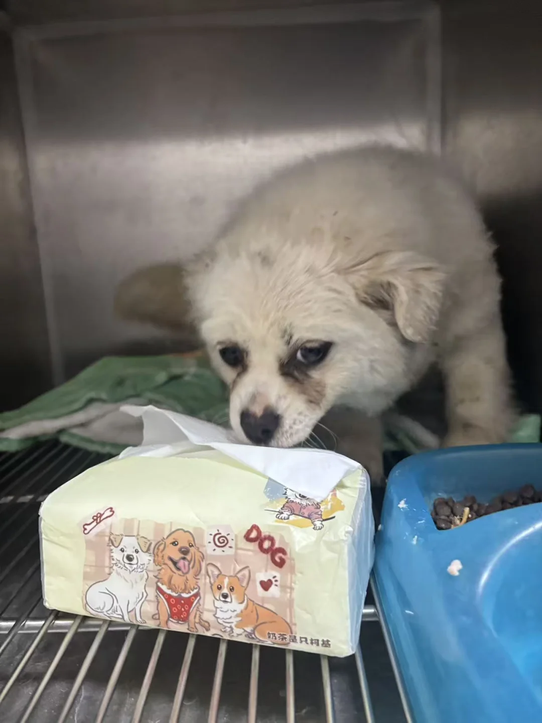 姨姨们，需不需要抽纸吖！