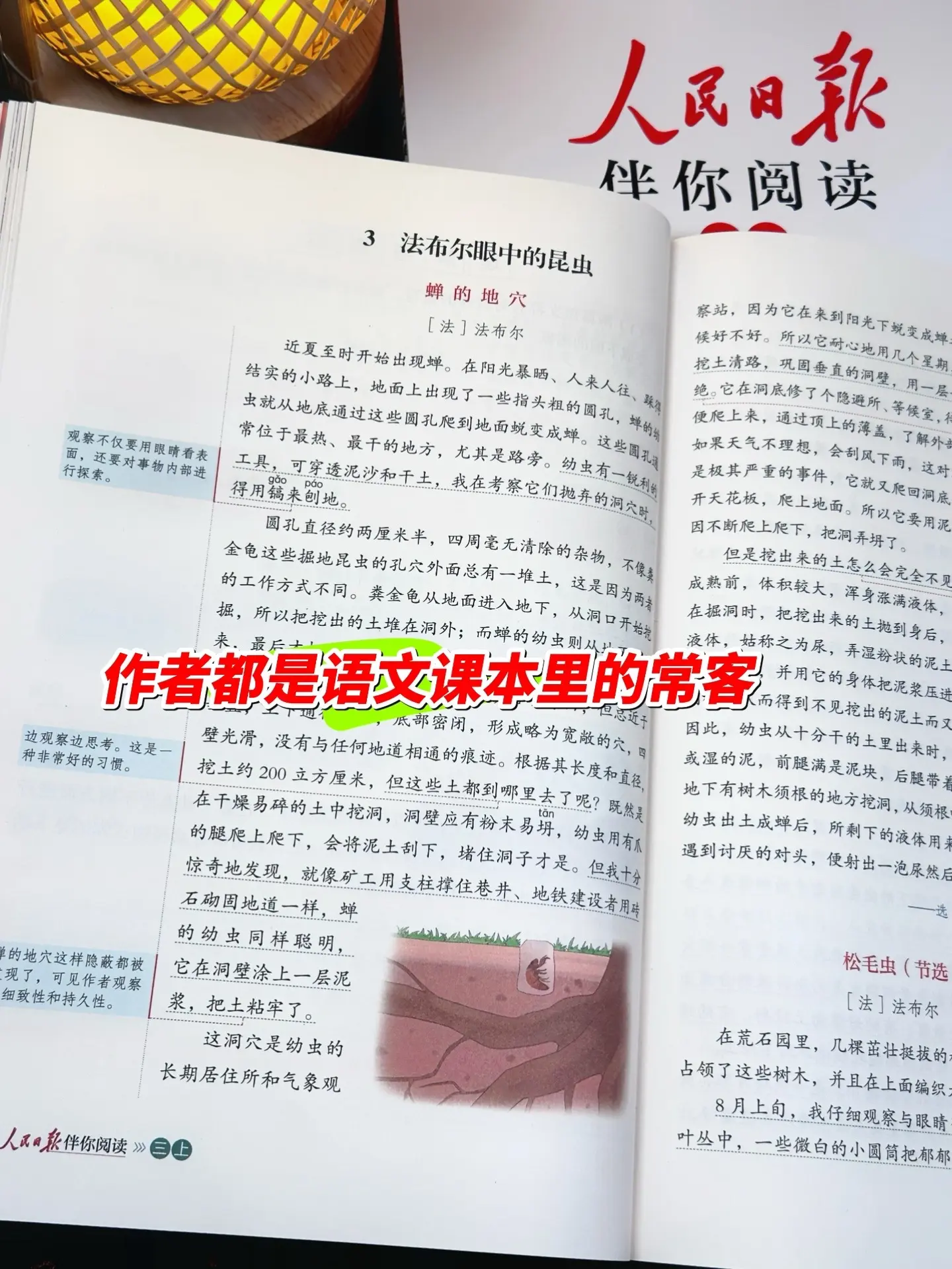 人民日报果然不会让人失望🔥。每一篇文章都是精心挑选，精彩的地方做了详...