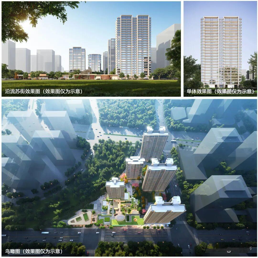 光谷中心城南低密新盘亮相！光谷地产 P (2024) 164 号地块规划公示
