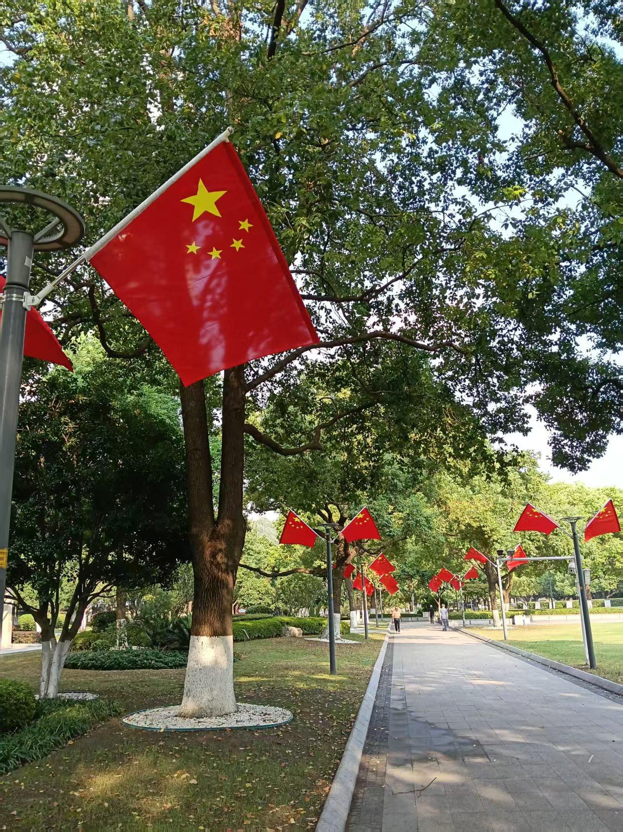 南京街头，乡镇到处都是“中国红”。
今天国庆节，走在北京西路，悬挂在道路两边的五