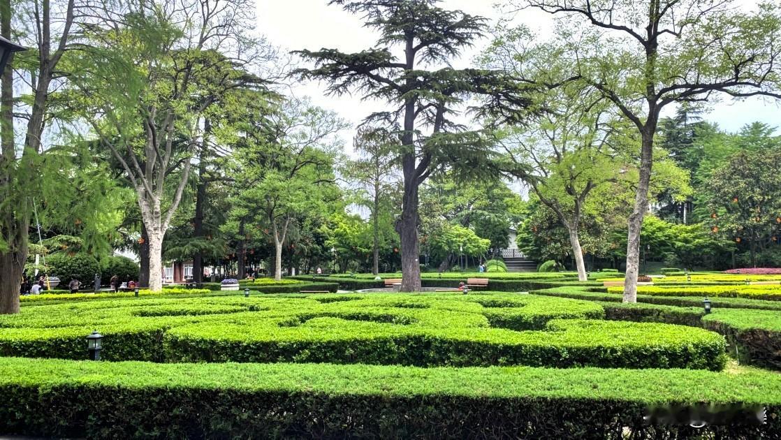 苏州大公园，承载着我三十年的回忆，楼上就是我家，这儿就像我的“后花园”。
苏州大