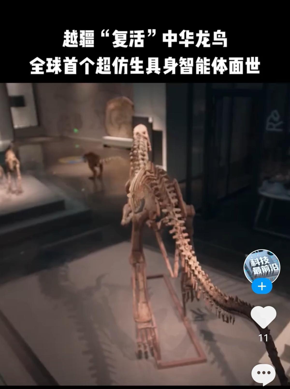 【越疆机器人】开发出“超仿生具身智能体”杀入文旅赛道。 ​​​