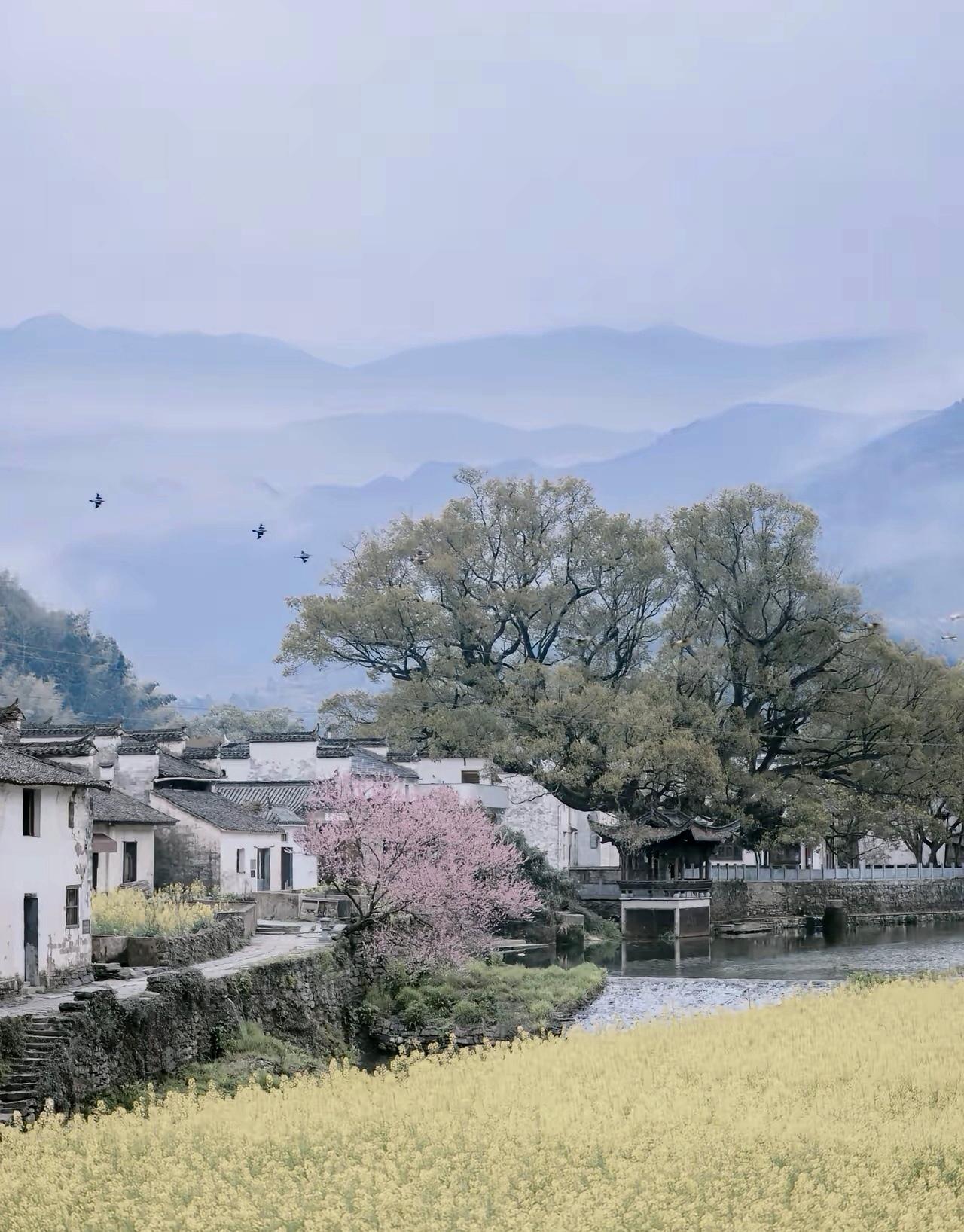 《皖南花色婆娑》
             /郭兴花
在皖南的烟雨中穿梭
花色婆