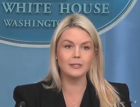 莱维特：尽管我们有一位无畏的总统，但我不希望生活在一个政治暴力猖獗的国家。分歧可